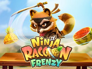 NinjaRaccoonFrenzy